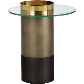 Haru End Table in Brown & Gold Stainless Steel & Tempered Glass